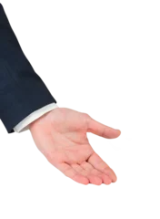 Fotobehang Businessmans hand presenting © vectorfusionart