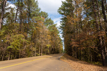 america, american, asphalt, autumn, chickasaw, choctaw, fall colors, foliage, forest, historical, kaintucks, mississippi, natchez, natchez trace, natchez trace parkway, national, national park, nation