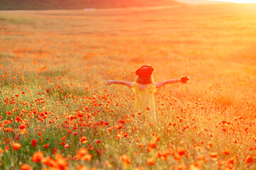 Happy girl poppy field walks under the evening sun. Back view