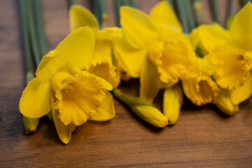 Daffodils narcissus Easter composition laying on a wooden board table, close up