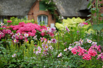 Fototapeta na wymiar Reetgedecktes altes Bauerhaus Kate mit Wildblumen Garten in St. Peter Ording Schleswig Holstein