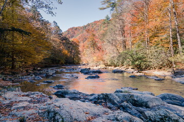 Big Laurel Creek