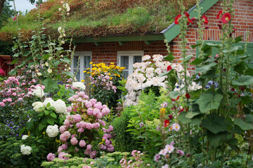 Fototapeta na wymiar Altes Bauerhaus Kate mit Wildblumen Garten in St. Peter Ording Schleswig Holstein