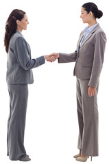 Two businesswomen shaking hands