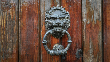 Decorative bronze handle in the form of a lion's head on a vintage door knocks on a wooden door