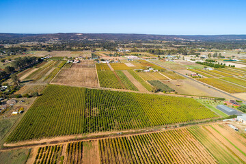 Aerial view of vineyards, Swan Valley, Perth, Western Australia, Australia, Ozeanien