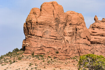 Fototapeta premium park