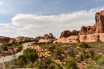 Fototapeta premium park