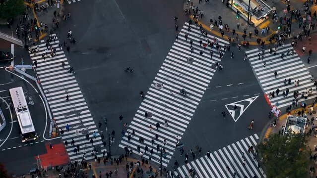TOKYO - OCT 3rd, 2022: Aerial view of people and traffic crossing the famous Shibuya scramble intersection in Tokyo, Japan at sunset