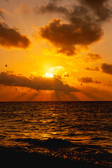amanecer en playa,  con silueta de aves en contra luz