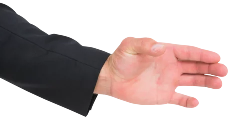 Gordijnen Hand presenting © vectorfusionart