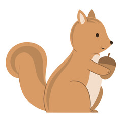 squirrel with nut illustration