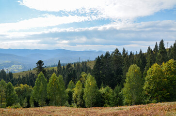Summer landscape with green trees and beautiful mountains on the background under cloudy sky. Carpathians, Ukraine