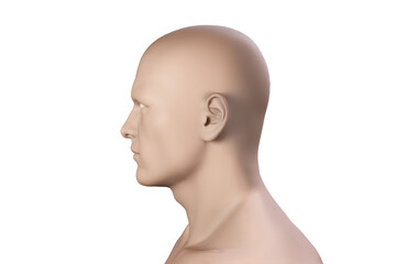 Digital composite of human representation 