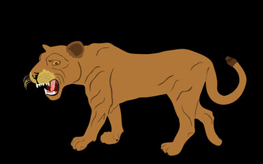 Lioness vector illustration isolated on black background. Lion female. Animal king. Big cat. Pride of Africa. Leo zodiac symbol. Wildlife predator. African big five. Mountain lion cougar.
