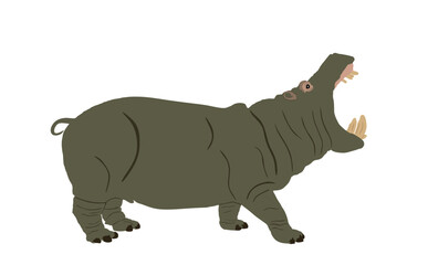 Hippopotamus open jaws hippo vector illustration isolated on white background. Big scary animal from Africa. Wild animal symbol.