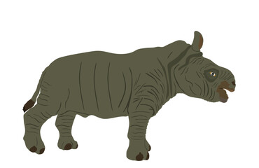 Rhinoceros cub vector illustration isolated on white background. Baby Rhino, animal from Africa. Strong animal calf symbol.
