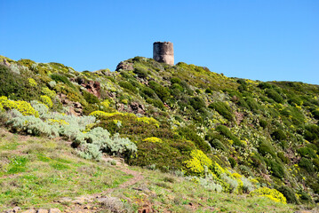 La Torre di Foghe