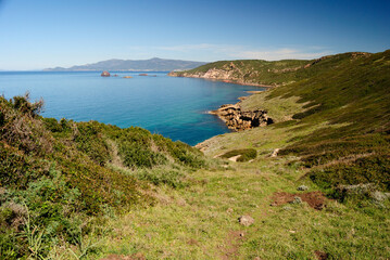 Fototapeta premium La costa tra Torre Ischia Ruja e Torre Foghe