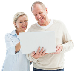 Happy mature couple using laptop