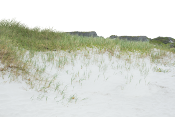 Digital composite image of sandy field 
