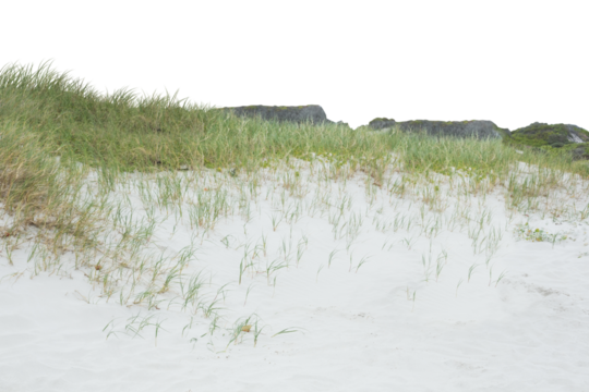 Digital composite image of sandy field 