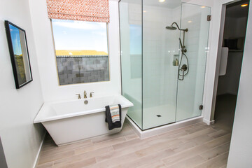 Master Bathroom Glass Shower And Bath Tub