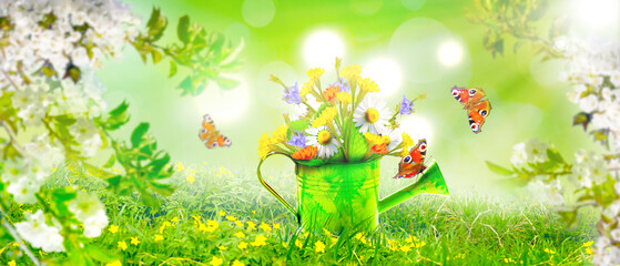 Colorful wild flower bouquet in a watering can with butterflies.