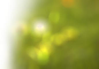 Blur digitally generated image