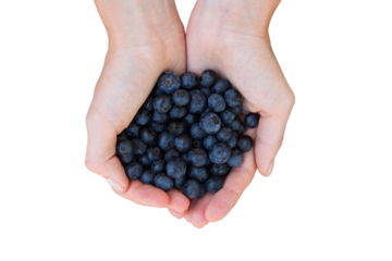 Woman holding blueberries