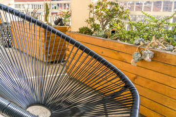 garden bench in the garden