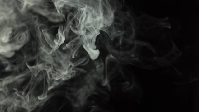 Black background and smoke. Lots of cigarette smoke. Suitable for effects in various videos. It's a pity for the environment. Stop smoking in public places. Thick white smoke on a black background.