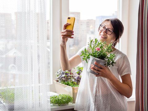 Woman is shooting selfie with blooming carnation flower. Houseplants and microgreens on windowsill. Growing edible organic basil, arugula for healthy nutrition. Gardening at home.