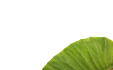 Wandcirkels aluminium Close-up of leaf  © vectorfusionart