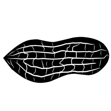 recommend clip art: peanut silhouette