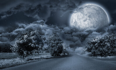 Fototapeta premium Landscape of a road between trees in front of the moon 