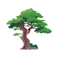 Cartoon style bonsai tree colourful vector illustration. Vector tree illustration on white background.