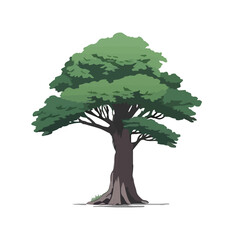 Cartoon style bonsai tree colourful vector illustration. Vector tree illustration on white background.