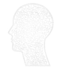 Digital image of human head with maze