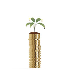 Fototapeta na wymiar Stack of gold coins and plant in soil