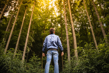 Naklejka na ściany i meble Man standing in a pine forest looking up in awe enjoying feeling free in nature 