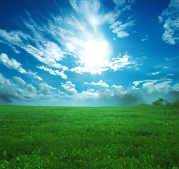 Plakat grass and blue sky