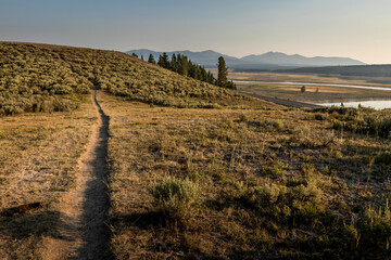 Well worn bison trail used for many generations -Yellowstone National Park, Wyoming 