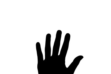 Cropped image of human hand 