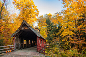 Covered Bridge in autumn forest