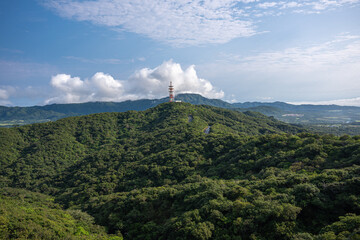 石垣島の山と森林の風景