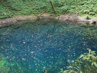 白神山地十二湖