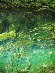 白神山地十二湖
