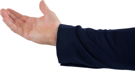 Cropped hand of male executive showing hand