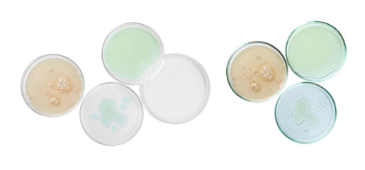 Set of Petri dishes with liquid samples isolated on white, top view